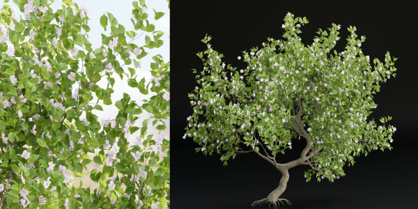 collection trees vol 13-Blender