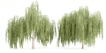 collection willow trees vol 23-Blender