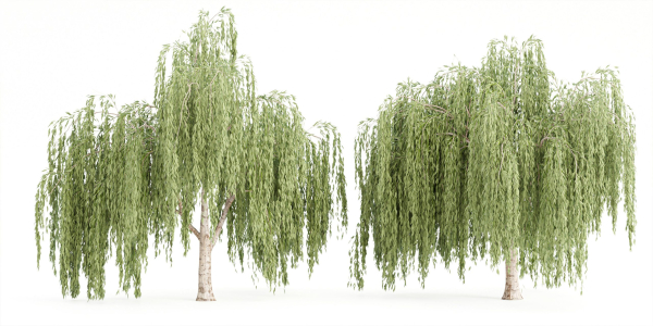 collection willow trees vol 23-Blender