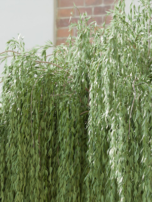 collection-willow-trees-vol-23-blender-3d-model-566007534b