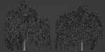 collection willow trees vol 23-Blender