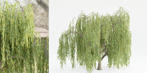 collection willow trees vol12-Blender
