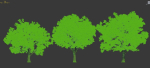 Common oak Nr7 H11-13m Three tree set
