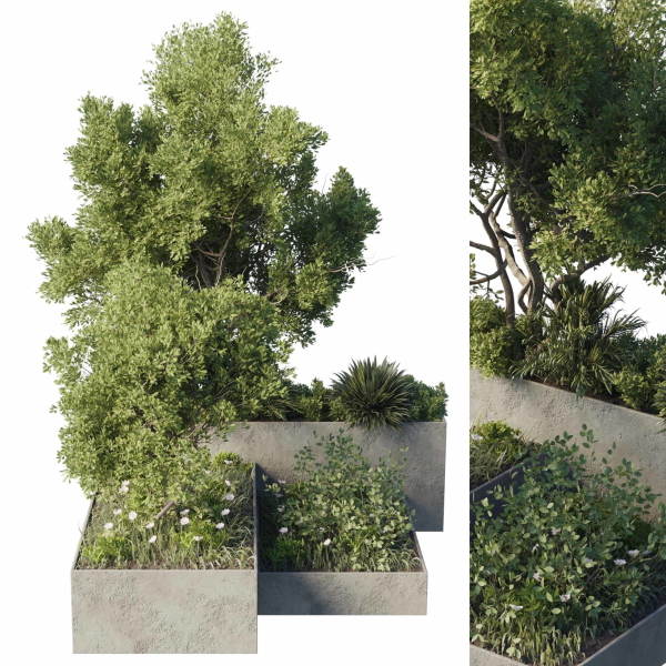 concrete box plants on stand - set outdoor plant 191
