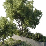 concrete box plants on stand - set outdoor plant 191