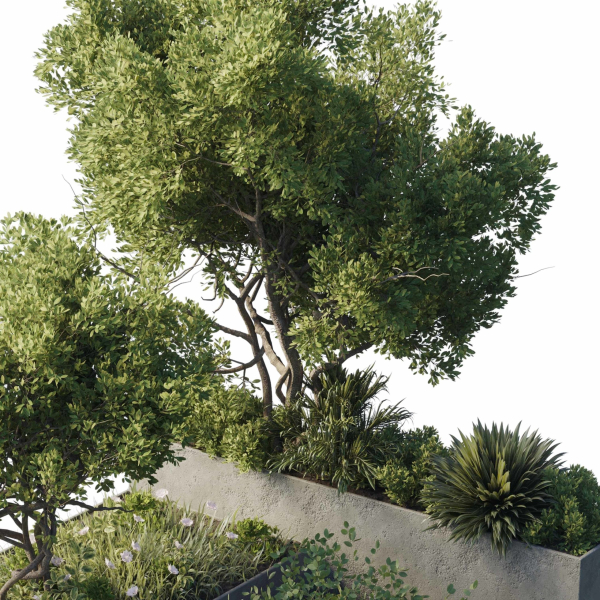 concrete box plants on stand - set outdoor plant 191