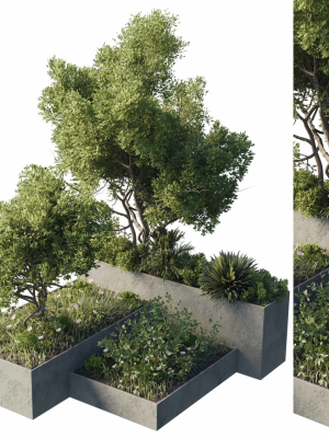 concrete box plants on stand - set outdoor plant 191
