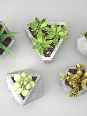 concrete-potted-cactus-set-3d-model-obj-fbx-ma-stl