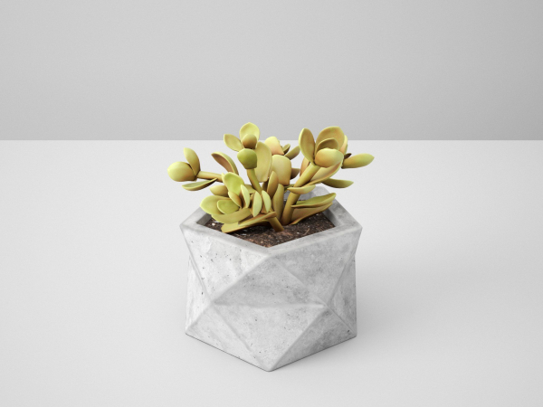 Concrete Potted Cactus Set