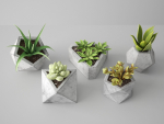 Concrete Potted Cactus Set