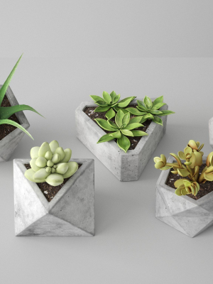 Concrete Potted Cactus Set
