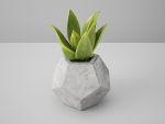 Concrete Potted Cactus Set