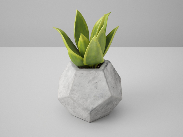 Concrete Potted Cactus Set