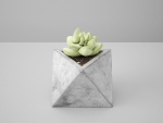 Concrete Potted Cactus Set
