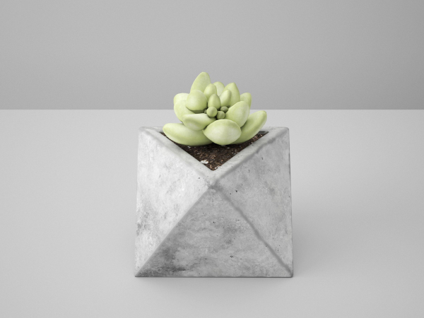 Concrete Potted Cactus Set
