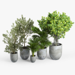 Concrete set tree in pot