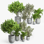 Concrete set tree in pot