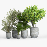 Concrete set tree in pot