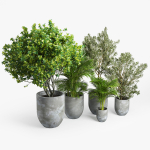 Concrete set tree in pot