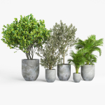 Concrete set tree in pot