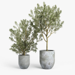 Concrete set tree in pot