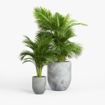 Concrete set tree in pot