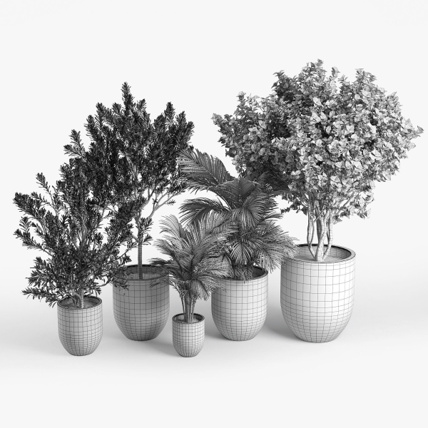 Concrete set tree in pot