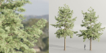 Conifer trees collection vol 130-Blender