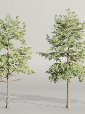 Conifer trees collection vol 130-Blender