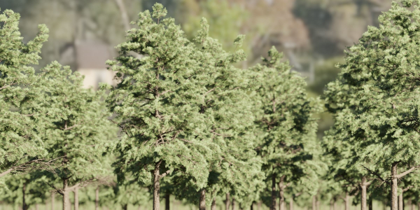 Conifer trees collection vol 130-Blender