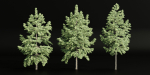 conifer trees collection vol 86-Blender