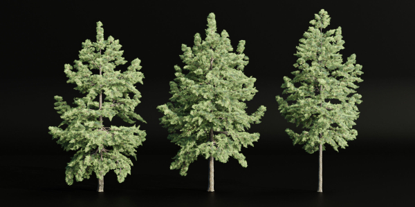 conifer trees collection vol 86-Blender