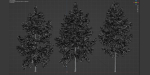 conifer trees collection vol 86-Blender