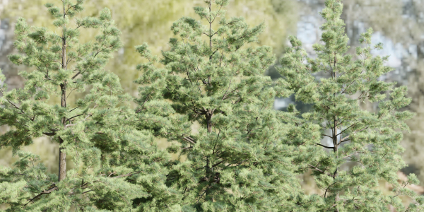 conifer trees collection vol 86-Blender