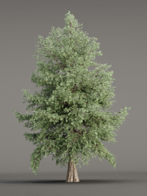 conifer-trees-vol-78-3d-model-4501b031db