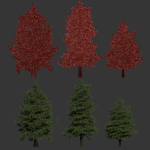 Conifer trees vol 78