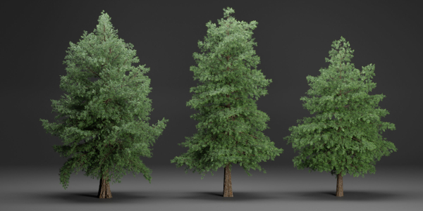 Conifer trees vol 78-Blender