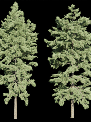 conifer trees vol 92-Blender