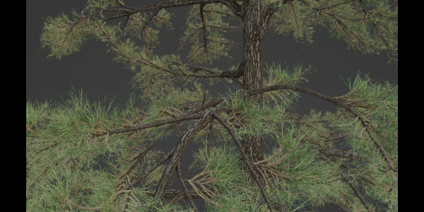 conifer trees vol 92-Blender