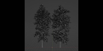 conifer trees vol 92-Blender