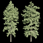 conifer trees vol 92-Blender