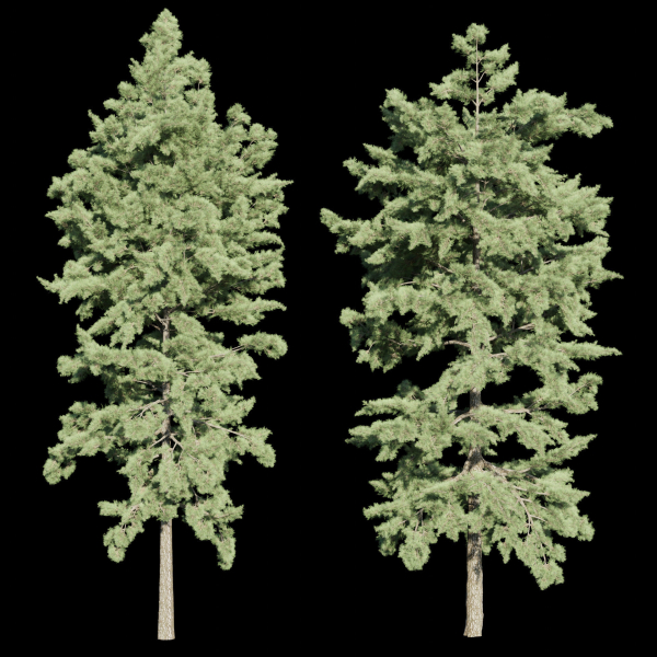 conifer trees vol 92-Blender