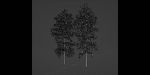 conifer trees vol 92-Blender