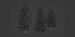 coniferous pine collection vol 2-Blender