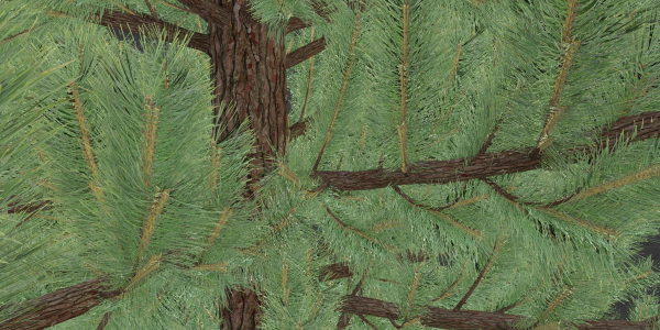 coniferous pine collection vol 2-Blender