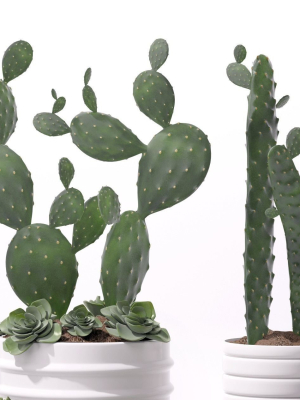contemporary-plant-set-3-3d-model-max-obj