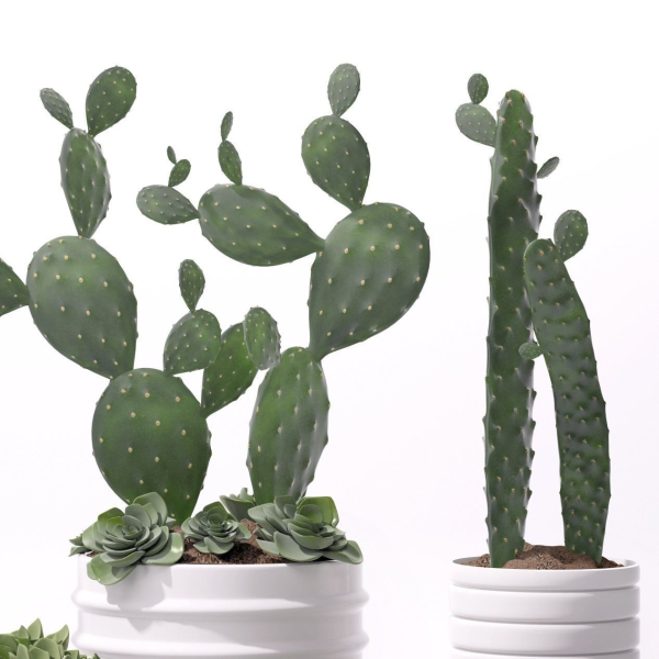 Contemporary plant set 3