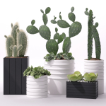 Contemporary plant set 3