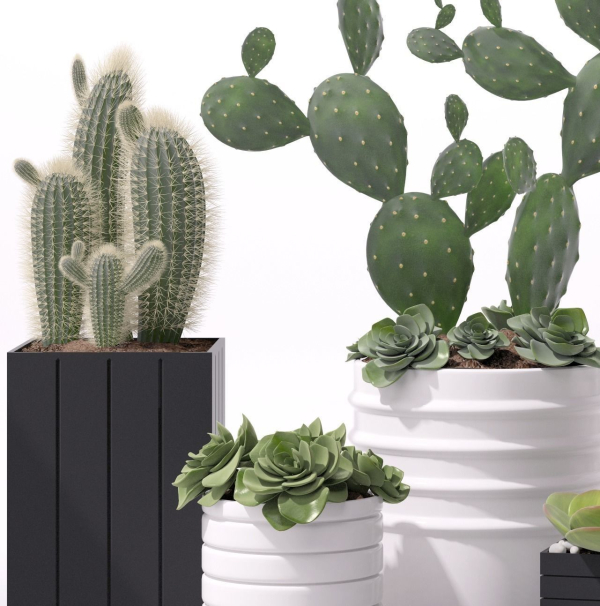 Contemporary plant set 3