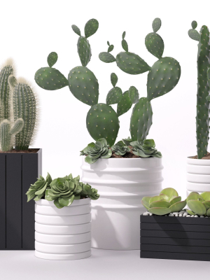 Contemporary plant set 3